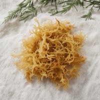 Sea Moss